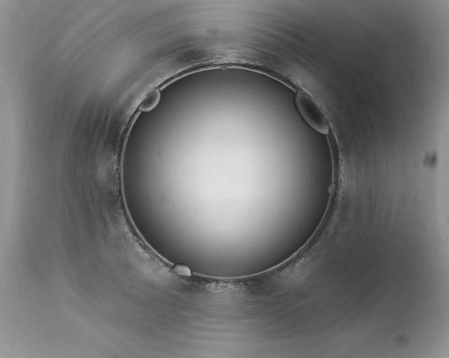 X0000112841089200908211235