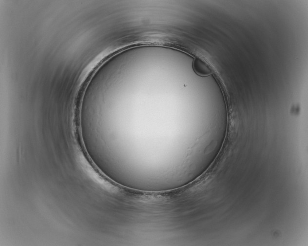 X0000112841091200908211235