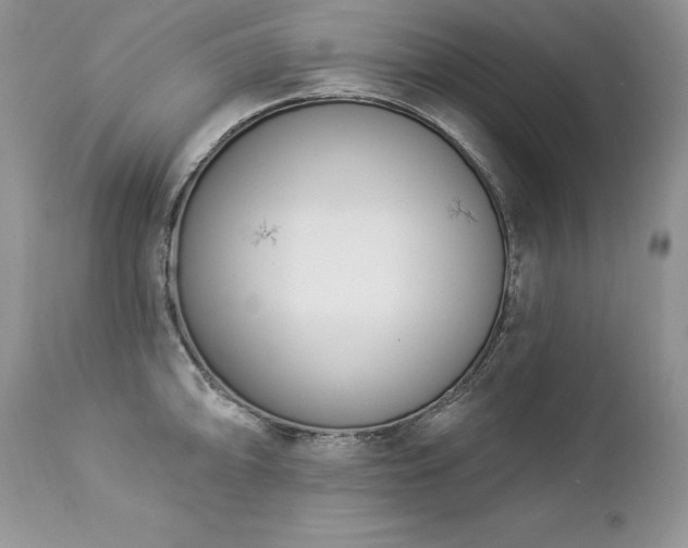 X0000112841094200908211235