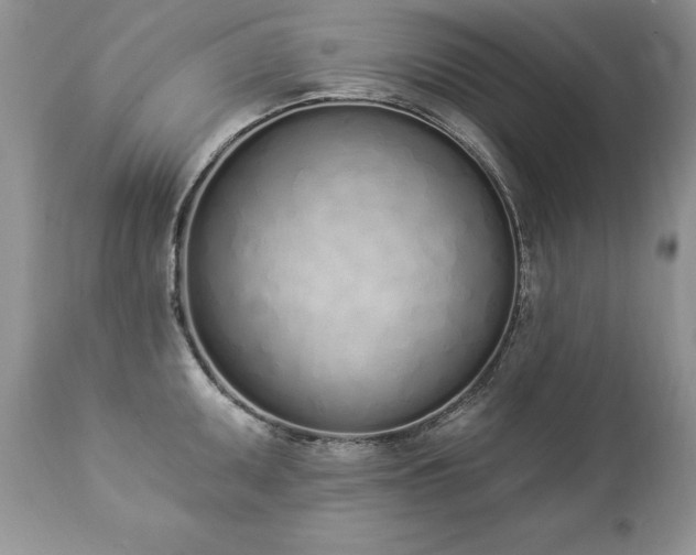 X0000112841095200908211235