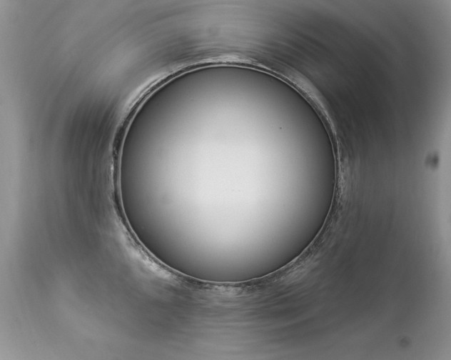 X0000112841096200908211235