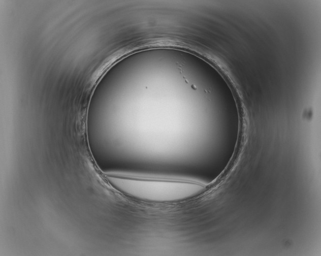 X0000112841097200908211235