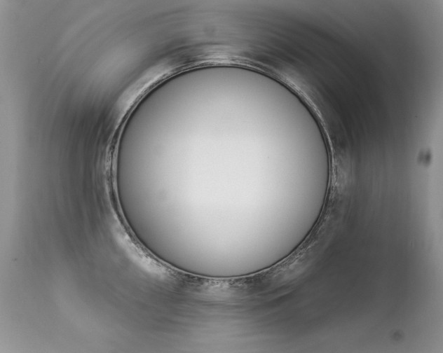 X0000112841098200908211235