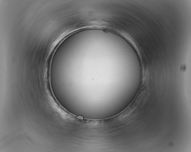 X0000112841099200908211235