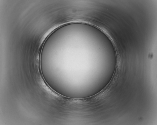 X0000112841100200908211235