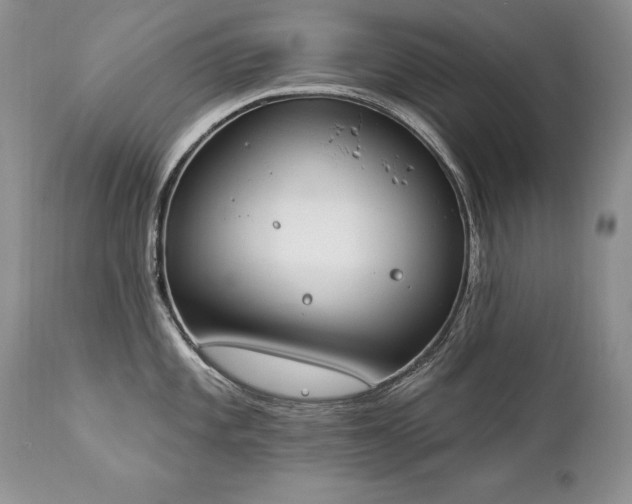 X0000112841101200908211235