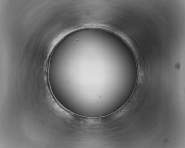 X0000112841102200908211235