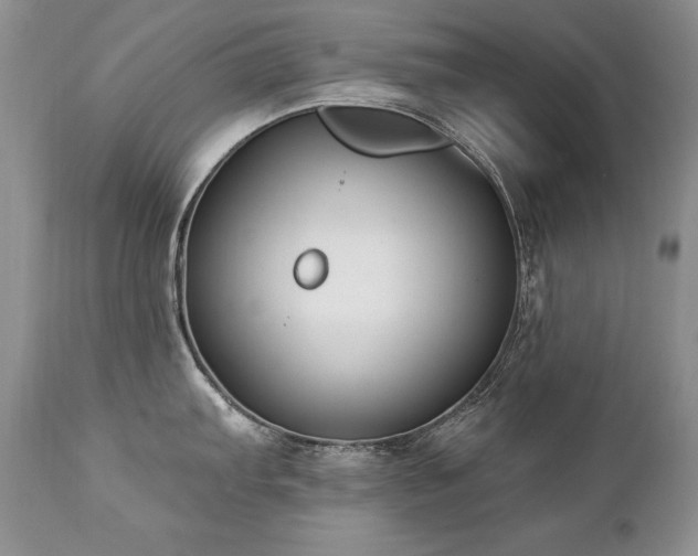 X0000112841103200908211235