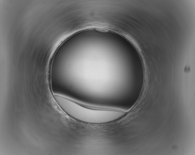 X0000112841104200908211235