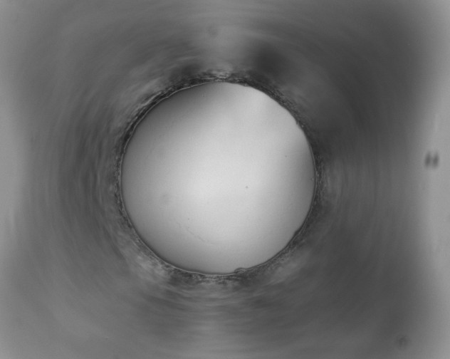 X0000112841105200908211234