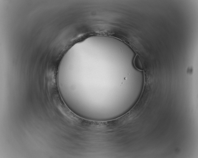 X0000112841106200908211234