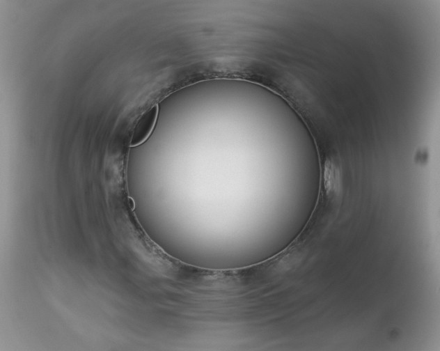 X0000112841107200908211234