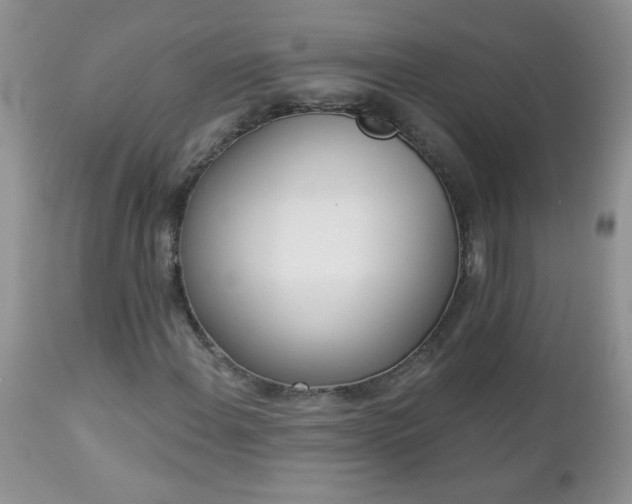 X0000112841108200908211234