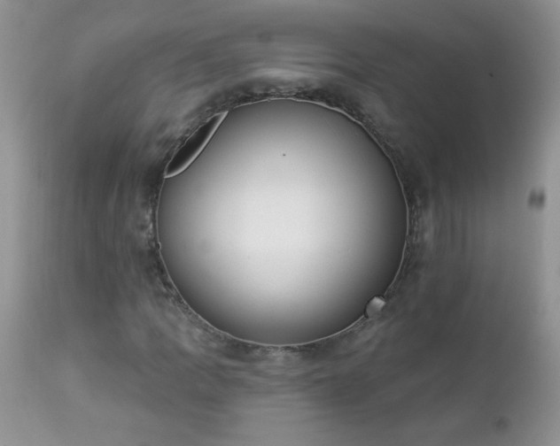 X0000112841109200908211234