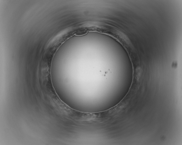 X0000112841111200908211234