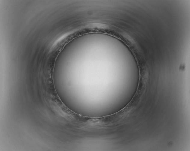 X0000112841112200908211234