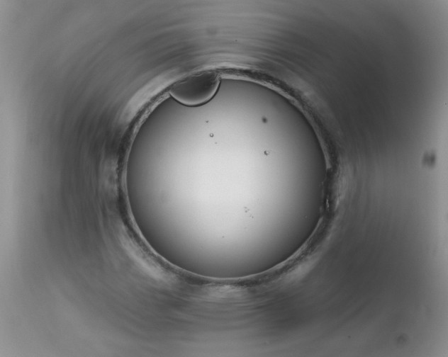 X0000112841113200908211234