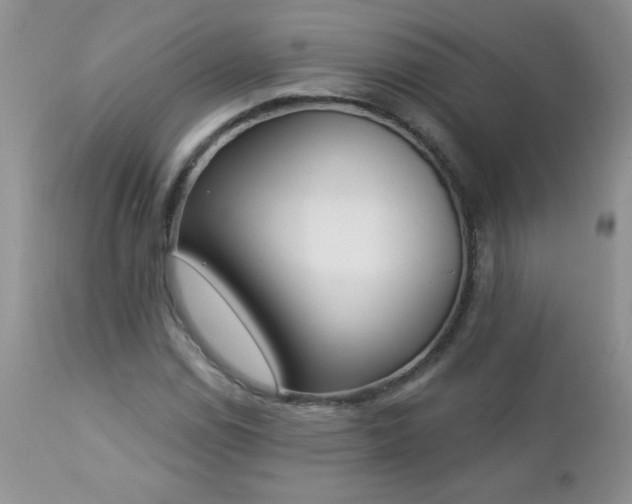 X0000112841114200908211234