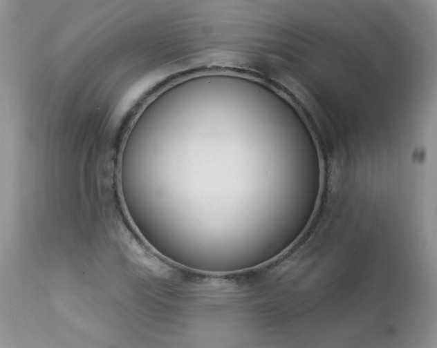 X0000112841115200908211234