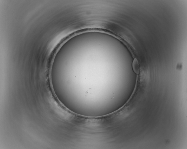 X0000112841116200908211234