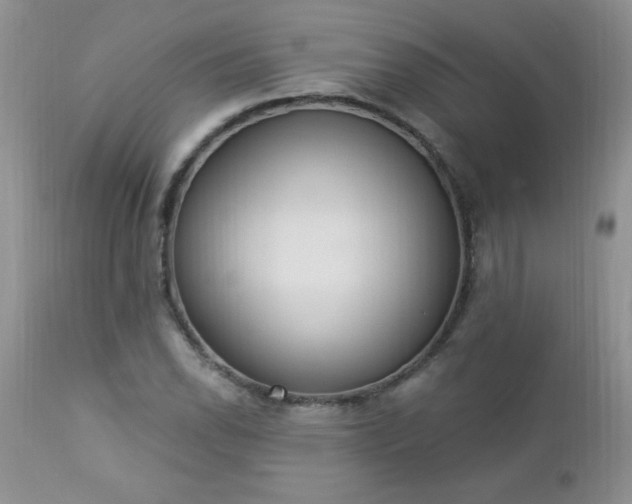 X0000112841118200908211234