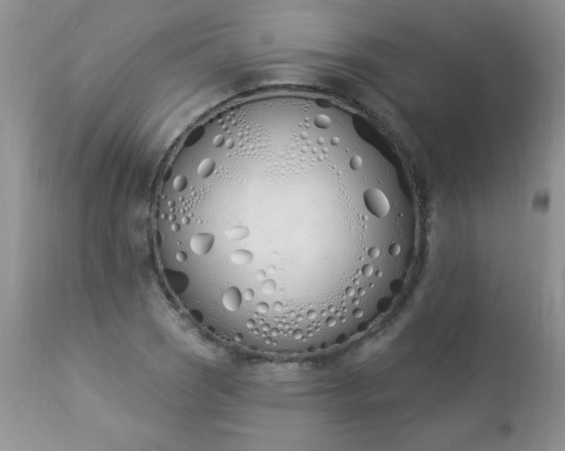 X0000112841121200908211234