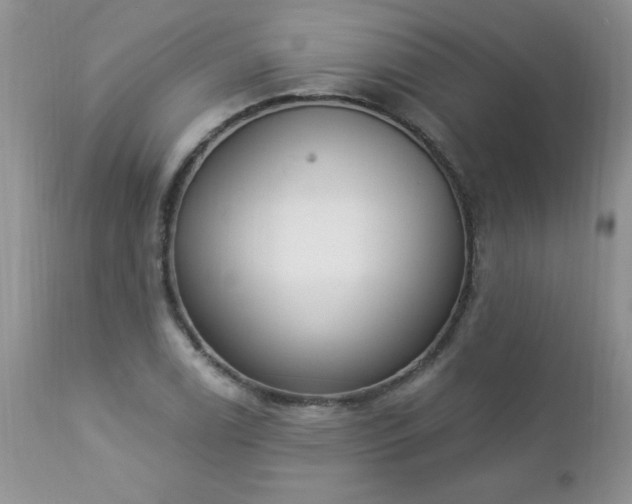 X0000112841122200908211234