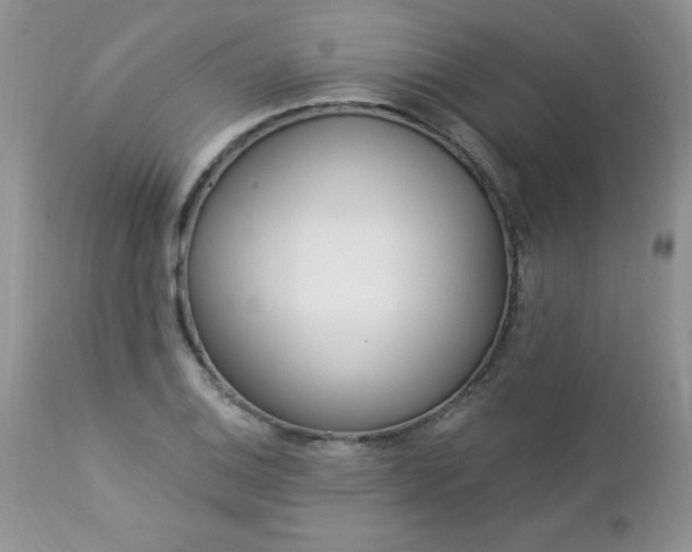 X0000112841124200908211234