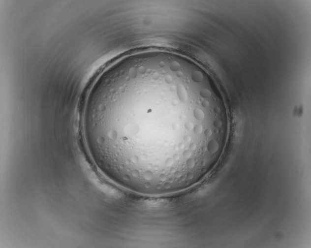 X0000112841125200908211234