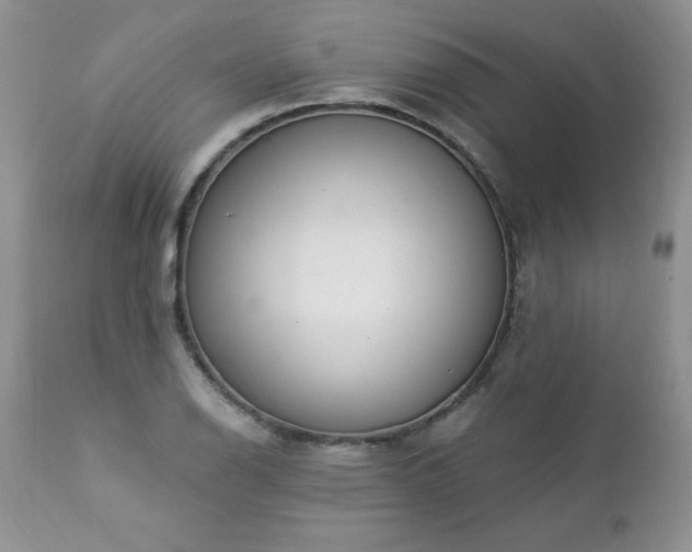 X0000112841126200908211234