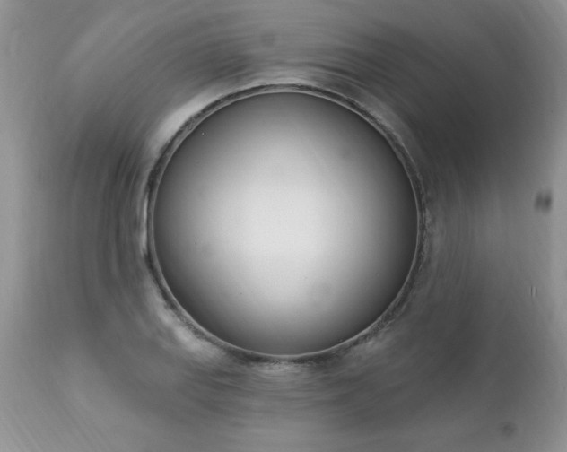 X0000112841127200908211234