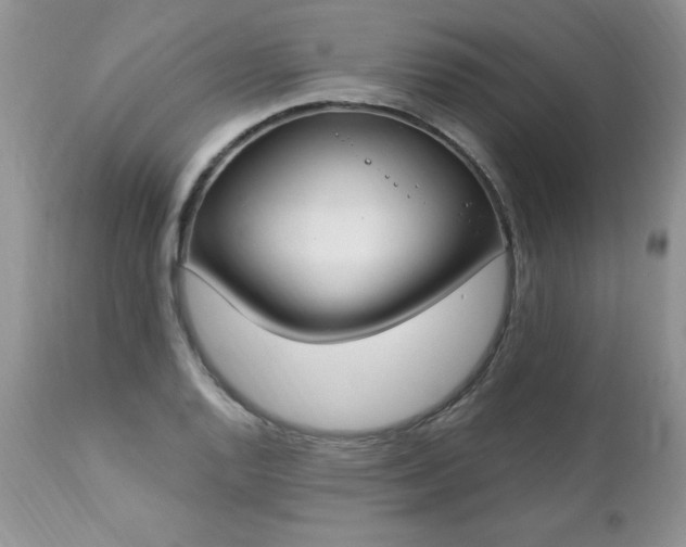 X0000112841128200908211234