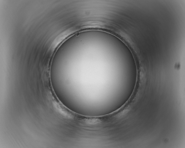 X0000112841129200908211234