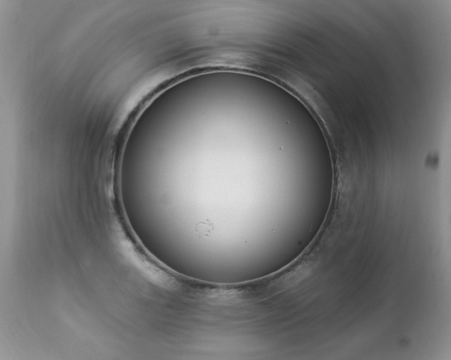 X0000112841131200908211234