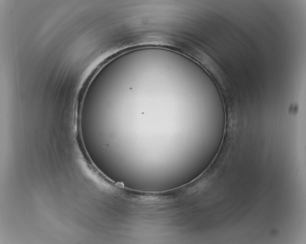 X0000112841132200908211234