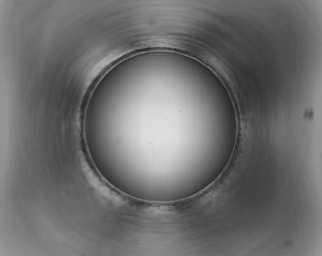 X0000112841133200908211234