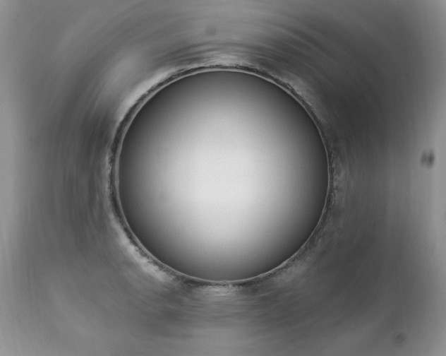 X0000112841134200908211235