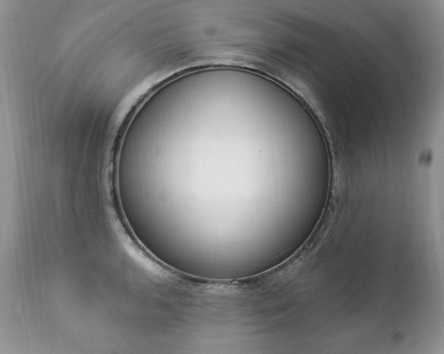 X0000112841136200908211235