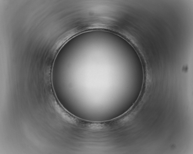 X0000112841137200908211235