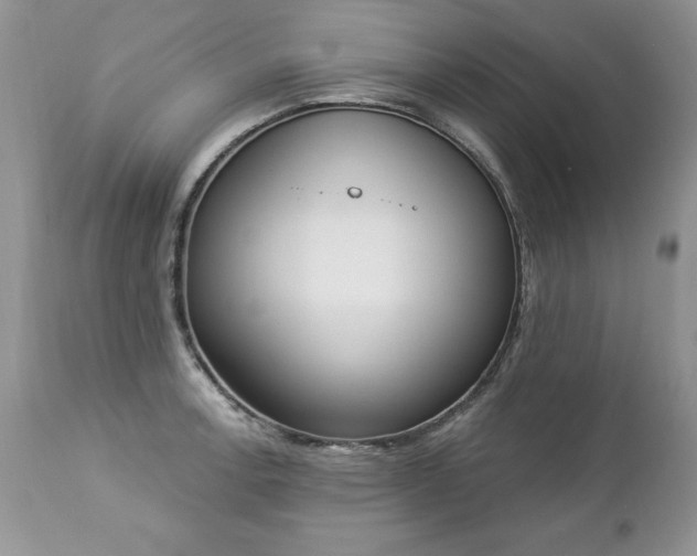 X0000112841138200908211235