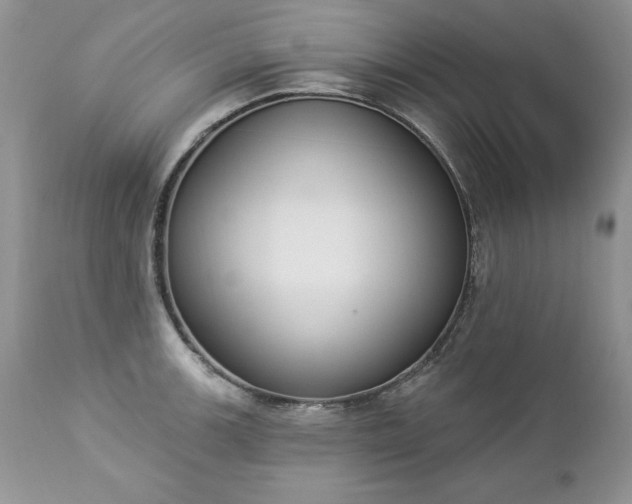 X0000112841139200908211235