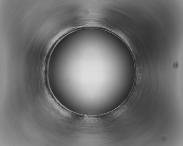 X0000112841142200908211235