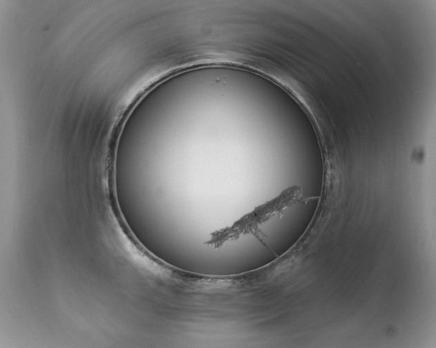 X0000112841143200908211235