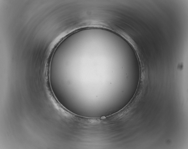 X0000112841144200908211235