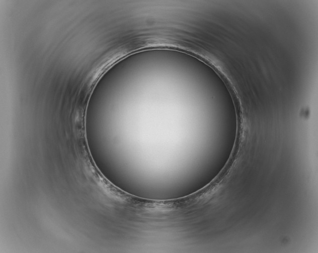 X0000112841145200908211235