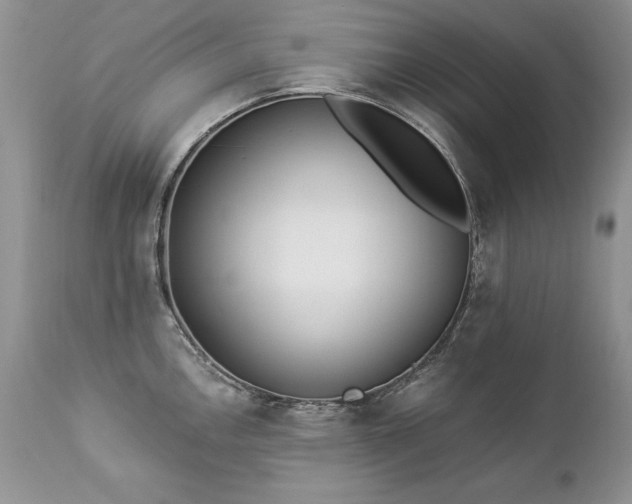 X0000112841146200908211235