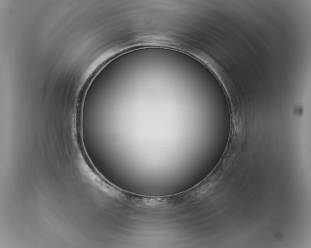 X0000112841147200908211235