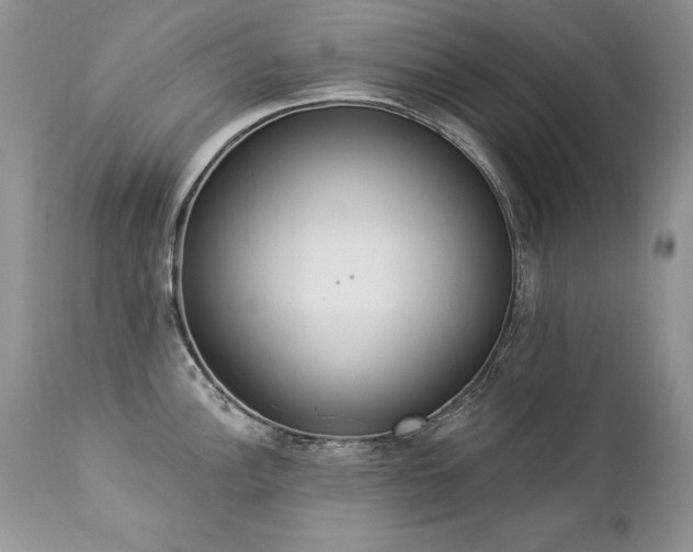 X0000112841148200908211235