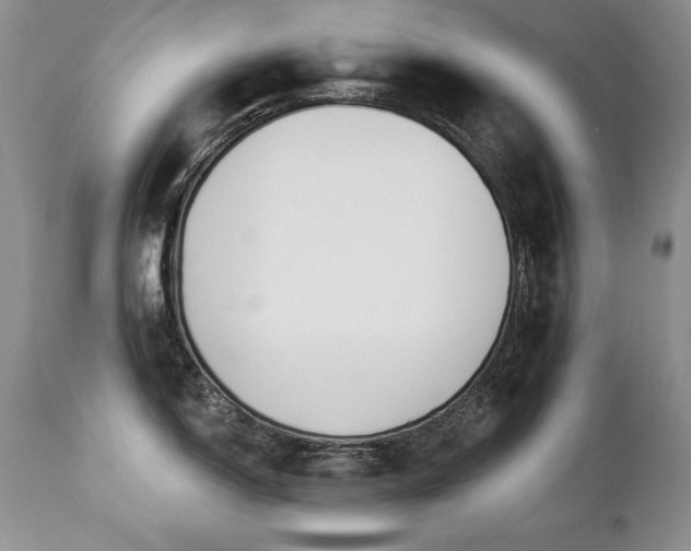 X0000112841150200908211235