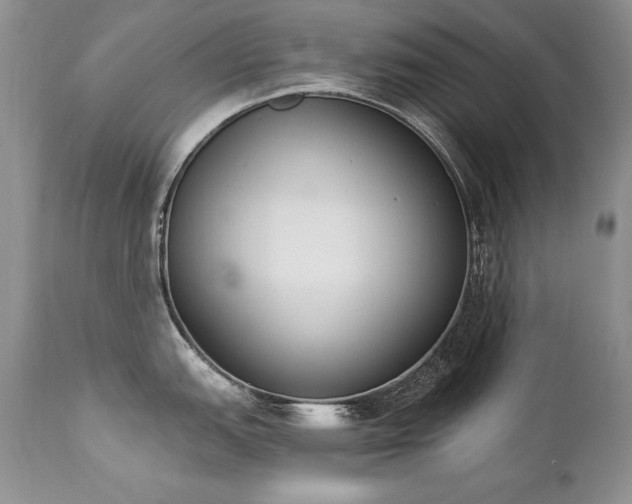 X0000112841151200908211235